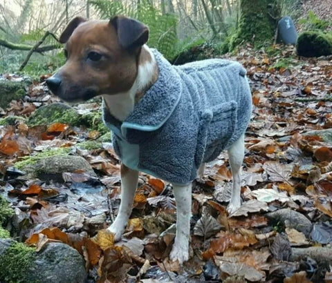 Personalised Ultimate Drying Dog Coat